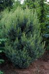 Habit