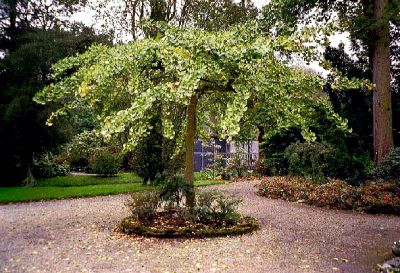 Habit